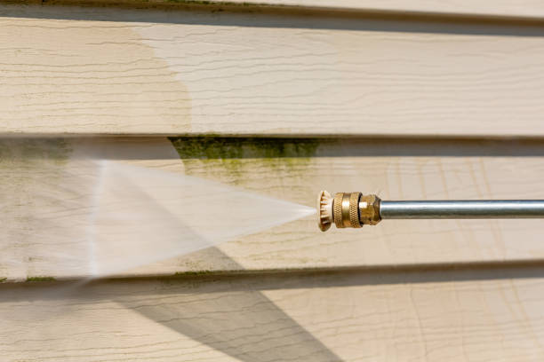 Best Roof Pressure Washing  in Petoskey, MI