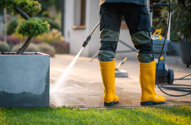 Best Affordable Pressure Washing  in Petoskey, MI